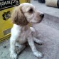 Posando para la foto
